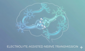 Electrolytes supporting hydration and mental health through improved nerve communication